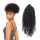 Kinky Curly Bangs Afro Ponytail Synthetic Hair Piece